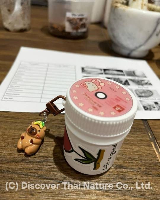 Participant’s finished custom Thai herbal inhaler container