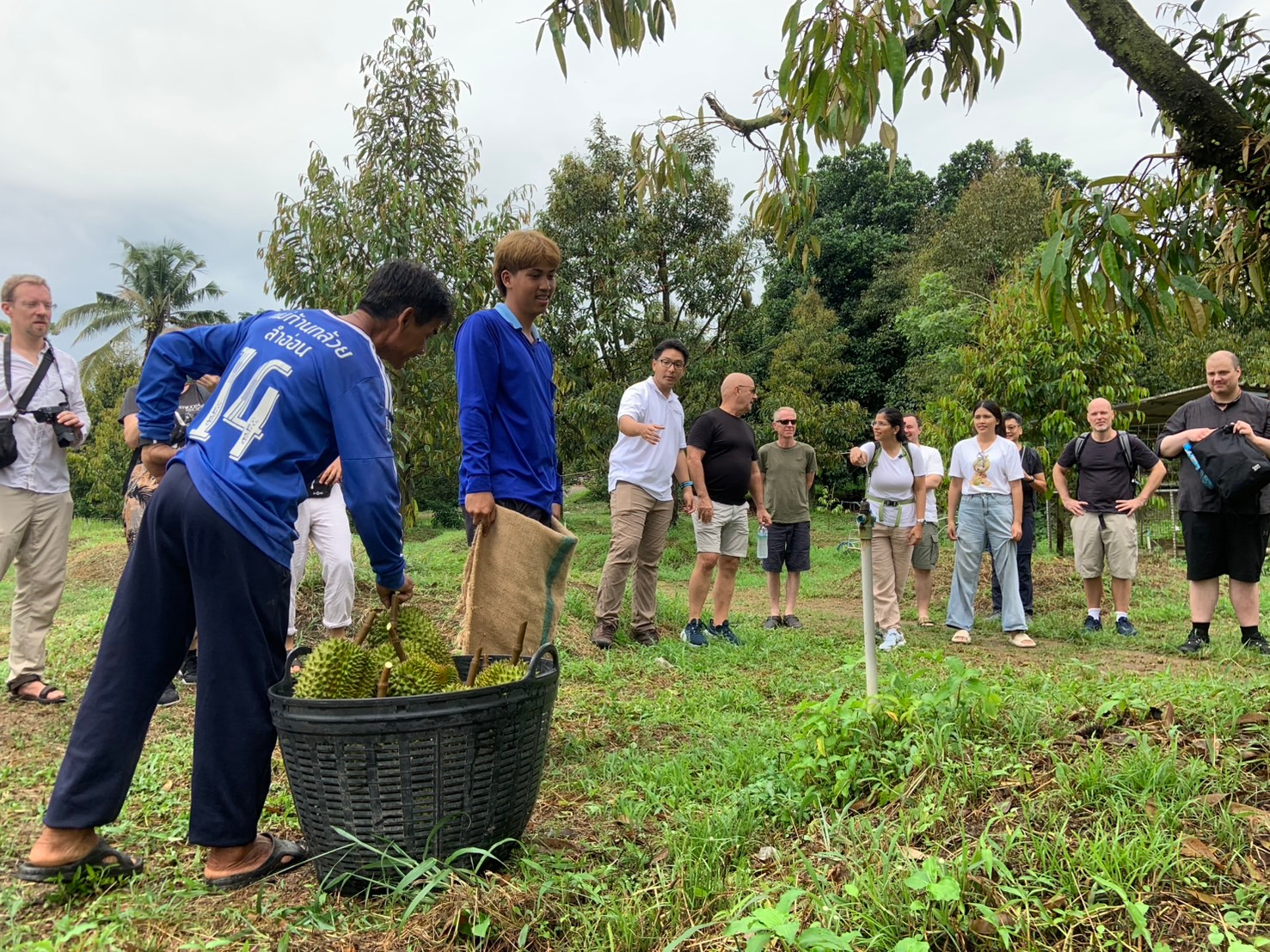 Discover Thai Nature participants at a durian orchard