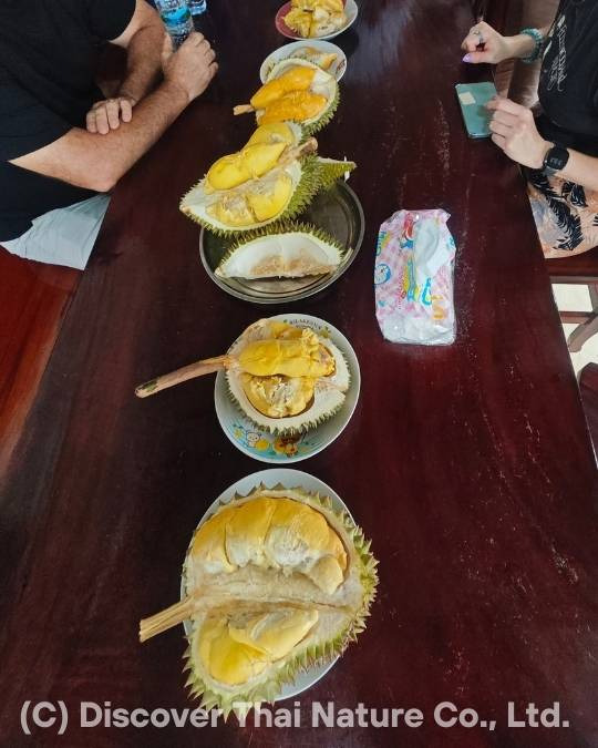 Participants tasting opened durians during a workshop