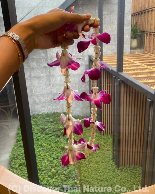 Handmade orchid and jasmine flower garland