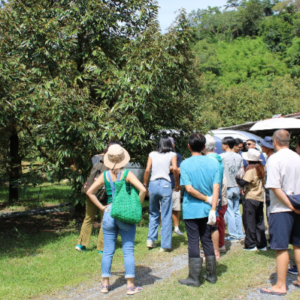 Visitors observing a rice-field harvester and truck