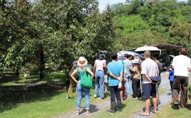 Visitors observing a rice-field harvester and truck